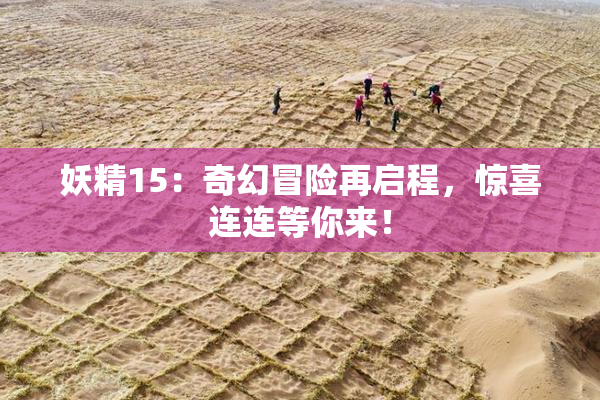 妖精15：奇幻冒险再启程，惊喜连连等你来！
