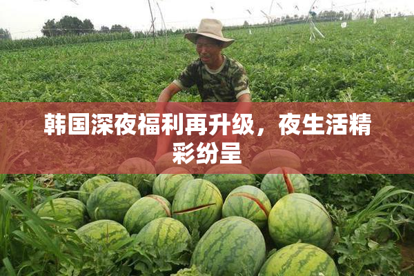 韩国深夜福利再升级，夜生活精彩纷呈