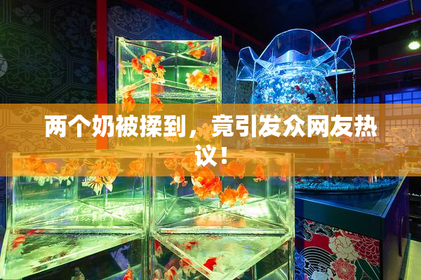 两个奶被揉到，竟引发众网友热议！