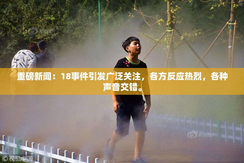 重磅新闻：18事件引发广泛关注，各方反应热烈，各种声音交错。