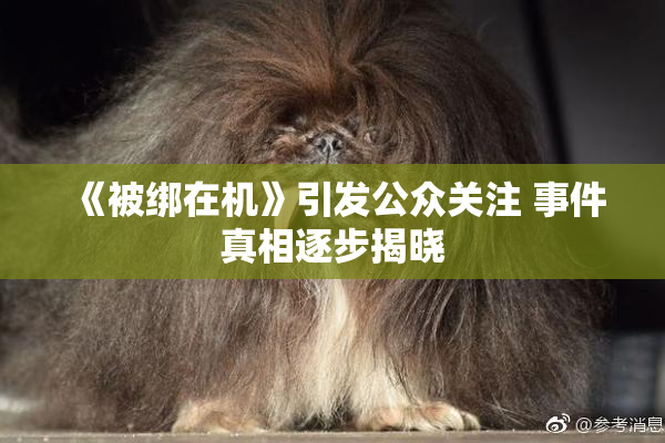 《被绑在机》引发公众关注 事件真相逐步揭晓