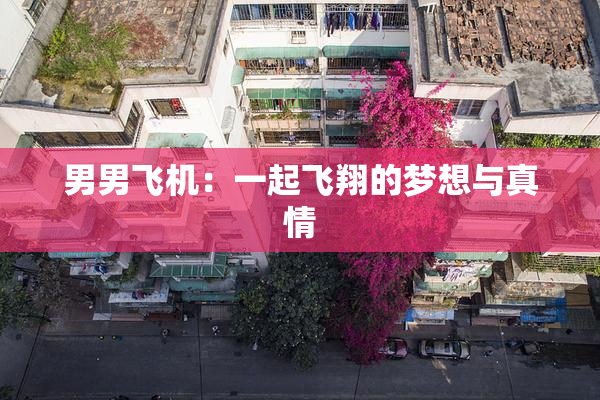 男男飞机：一起飞翔的梦想与真情