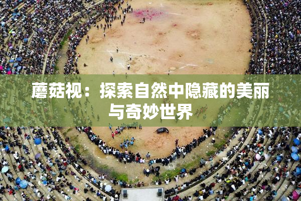 蘑菇视：探索自然中隐藏的美丽与奇妙世界