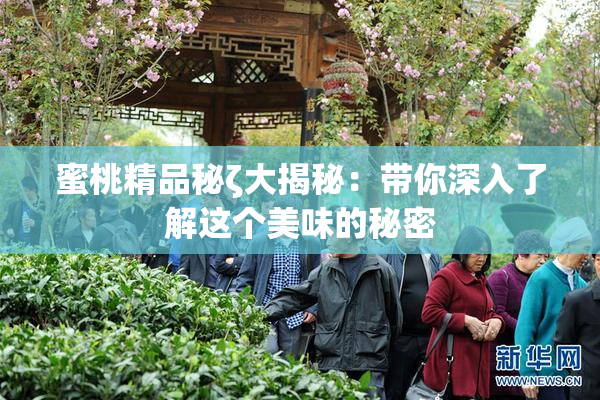 蜜桃精品秘ζ大揭秘：带你深入了解这个美味的秘密