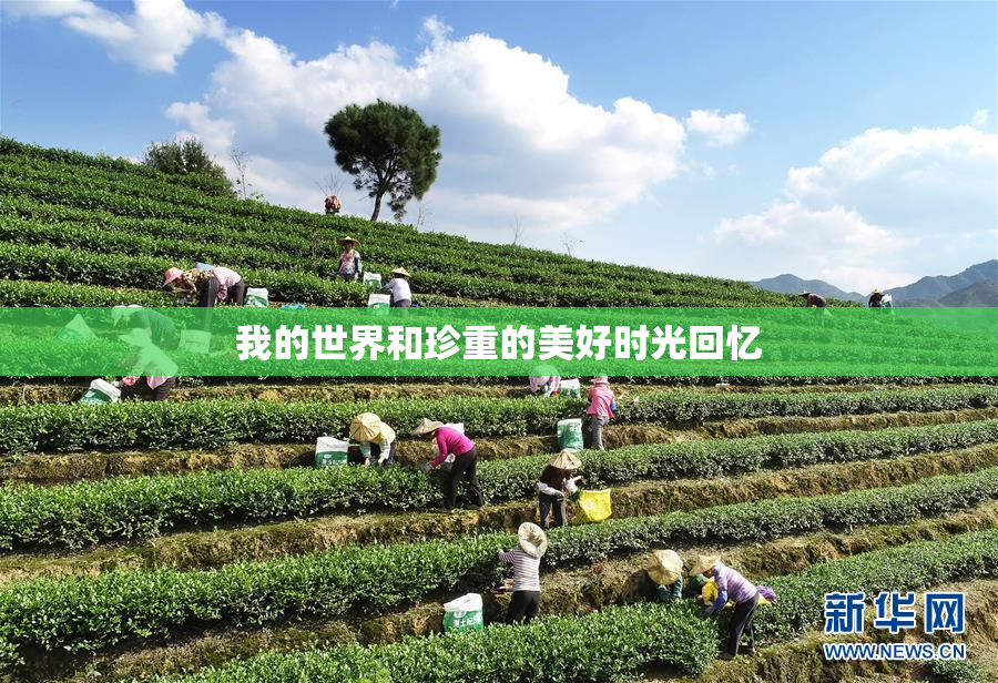 我的世界和珍重的美好时光回忆