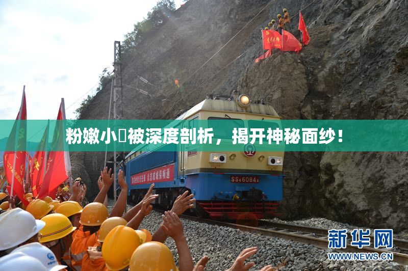 粉嫩小泬被深度剖析，揭开神秘面纱！