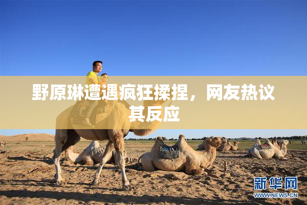 野原琳遭遇疯狂揉捏，网友热议其反应