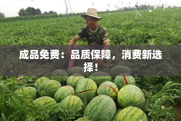 成品免费：品质保障，消费新选择！