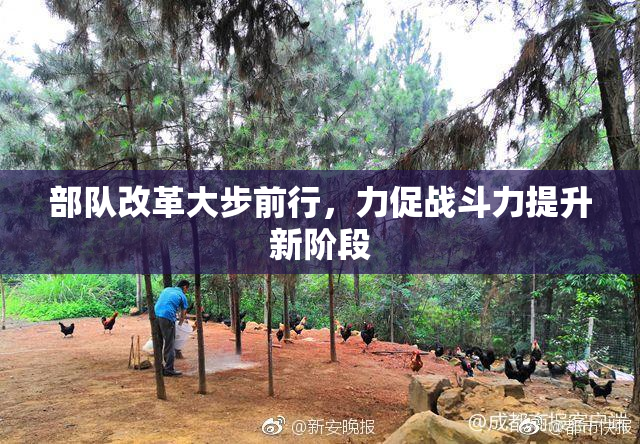 部队改革大步前行，力促战斗力提升新阶段