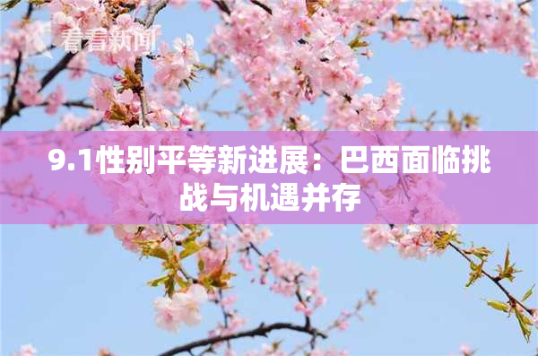 9.1性别平等新进展：巴西面临挑战与机遇并存