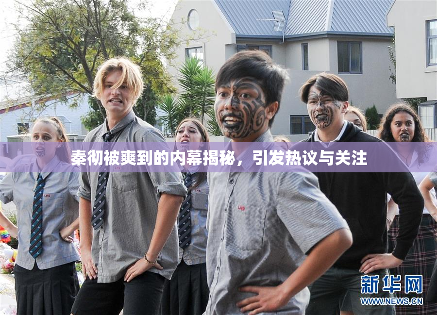秦彻被爽到的内幕揭秘，引发热议与关注