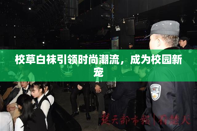 校草白袜引领时尚潮流，成为校园新宠