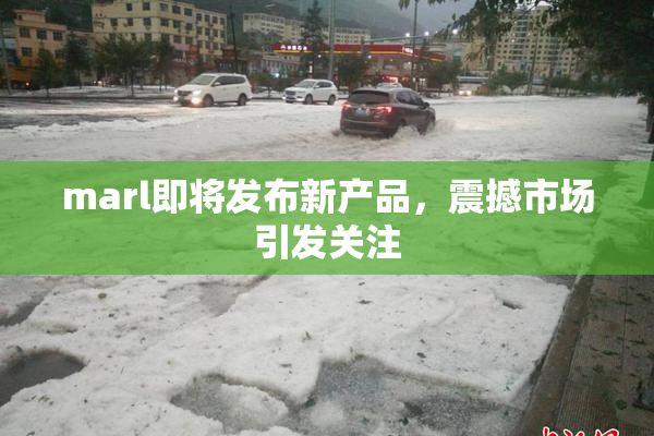 marl即将发布新产品，震撼市场引发关注