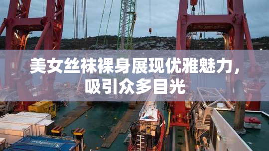 美女丝袜裸身展现优雅魅力，吸引众多目光