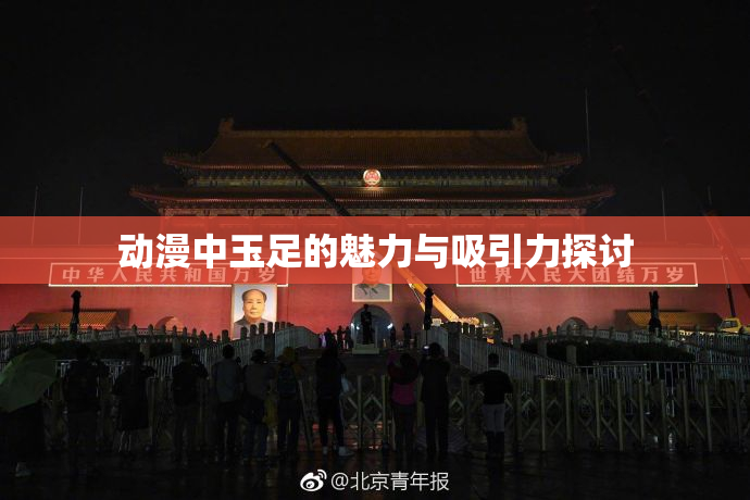 动漫中玉足的魅力与吸引力探讨