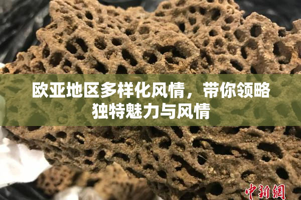 欧亚地区多样化风情，带你领略独特魅力与风情