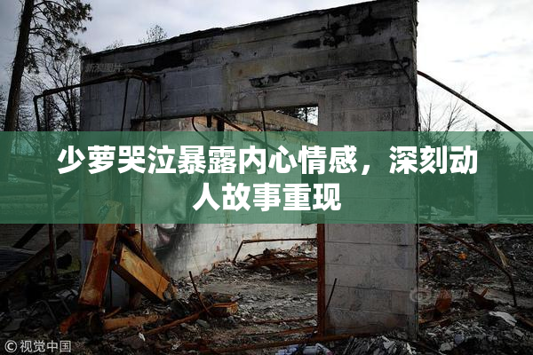 少萝哭泣暴露内心情感，深刻动人故事重现