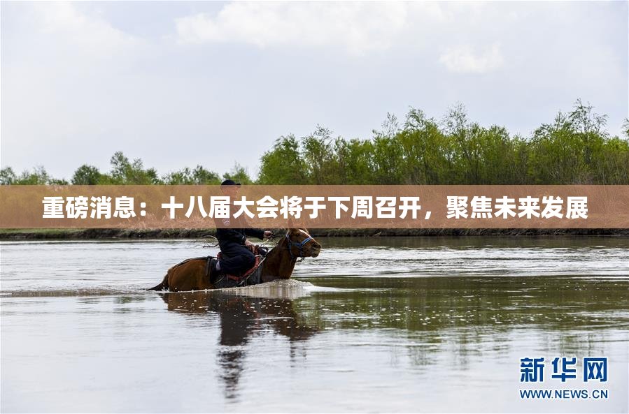 重磅消息：十八届大会将于下周召开，聚焦未来发展