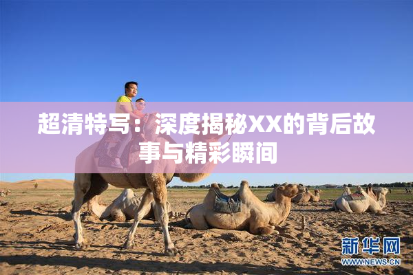 超清特写：深度揭秘XX的背后故事与精彩瞬间