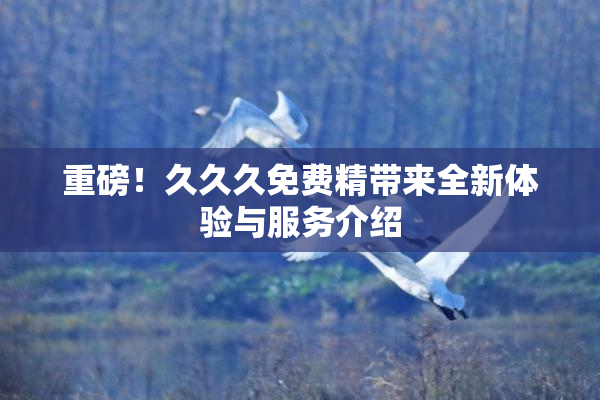 重磅！久久久免费精带来全新体验与服务介绍