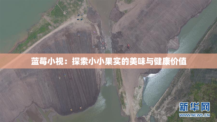 蓝莓小视：探索小小果实的美味与健康价值