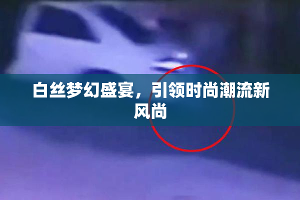 白丝梦幻盛宴，引领时尚潮流新风尚