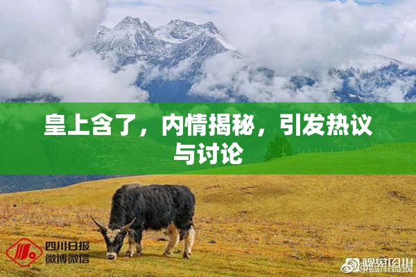 皇上含了，内情揭秘，引发热议与讨论