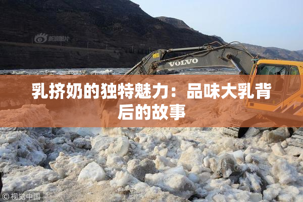 乳挤奶的独特魅力：品味大乳背后的故事