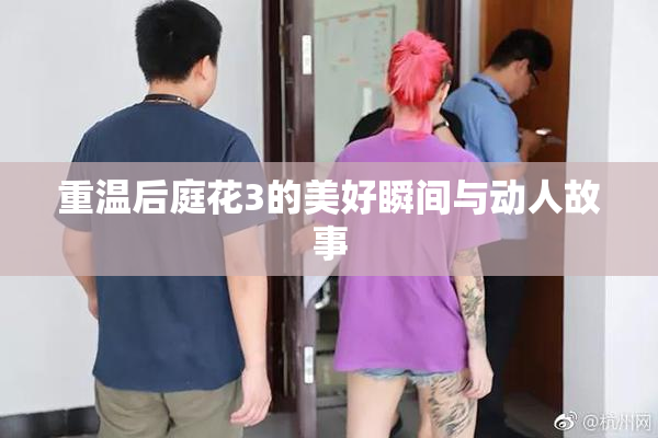 重温后庭花3的美好瞬间与动人故事