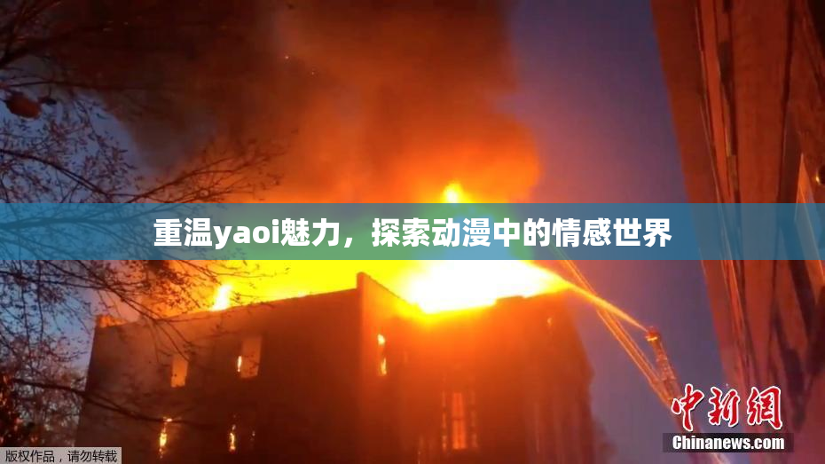 重温yaoi魅力，探索动漫中的情感世界