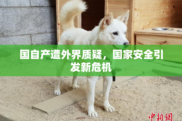 国自产遭外界质疑，国家安全引发新危机