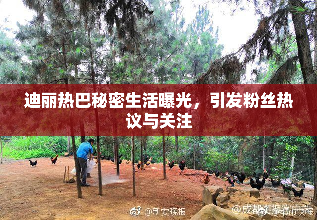 迪丽热巴秘密生活曝光，引发粉丝热议与关注