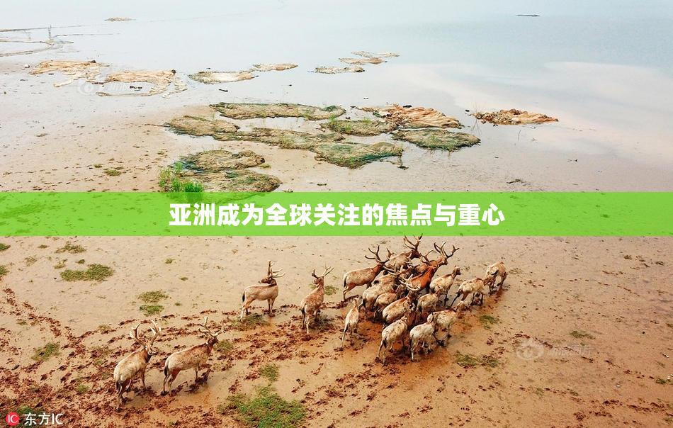 亚洲成为全球关注的焦点与重心