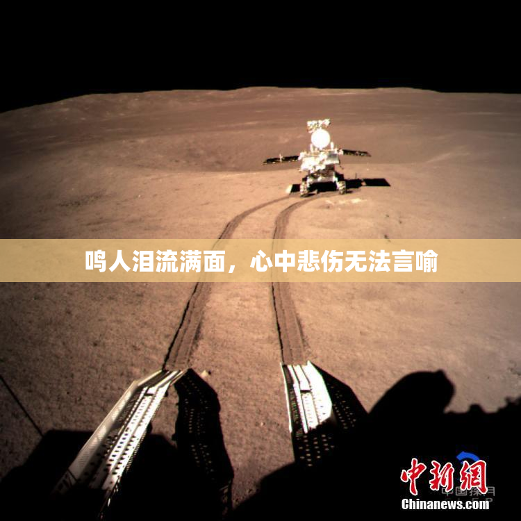 鸣人泪流满面，心中悲伤无法言喻