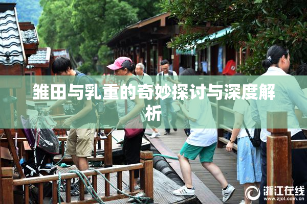 雏田与乳重的奇妙探讨与深度解析