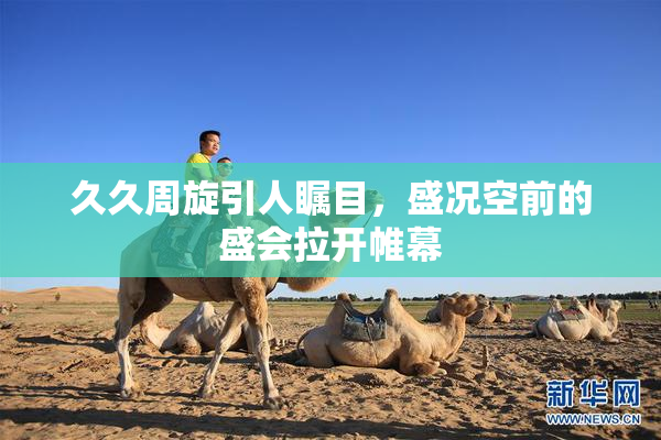 久久周旋引人瞩目，盛况空前的盛会拉开帷幕
