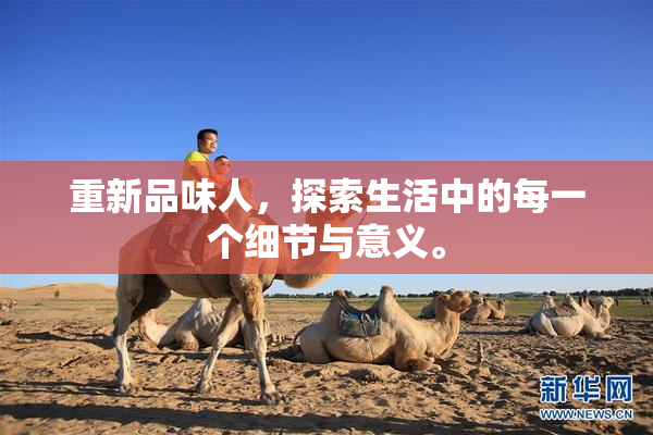 重新品味人，探索生活中的每一个细节与意义。