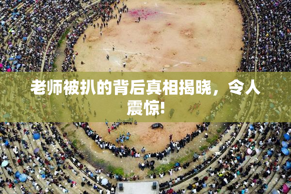 老师被扒的背后真相揭晓，令人震惊!
