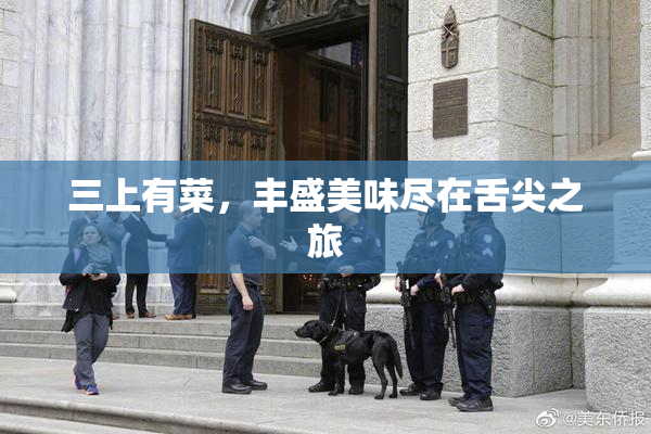 三上有菜，丰盛美味尽在舌尖之旅