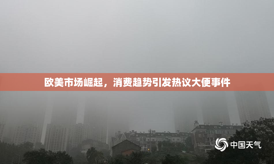 欧美市场崛起，消费趋势引发热议大便事件