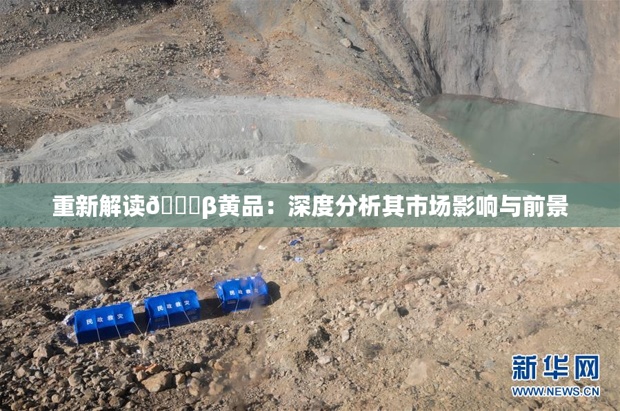 重新解读🔞β黄品：深度分析其市场影响与前景