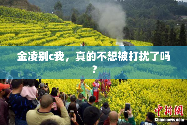 金凌别c我，真的不想被打扰了吗？
