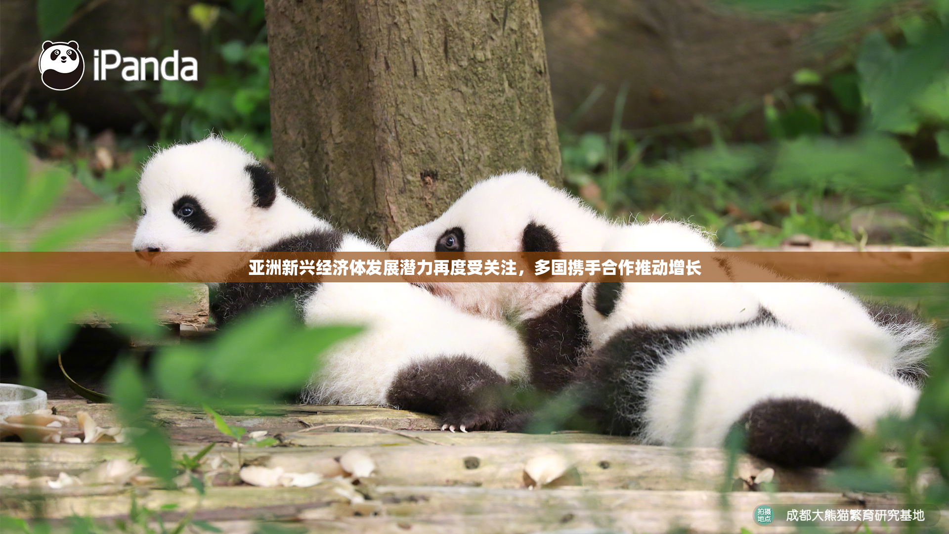 亚洲新兴经济体发展潜力再度受关注，多国携手合作推动增长