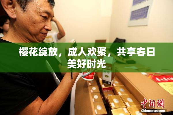 樱花绽放，成人欢聚，共享春日美好时光