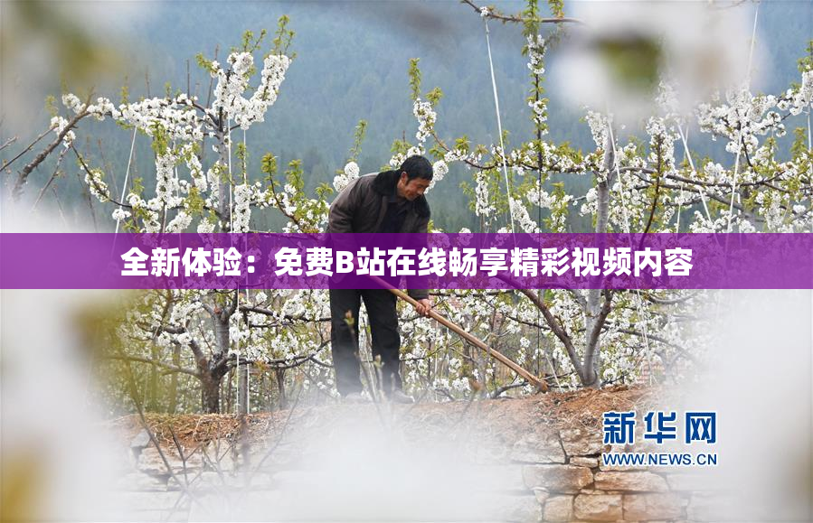 全新体验：免费B站在线畅享精彩视频内容