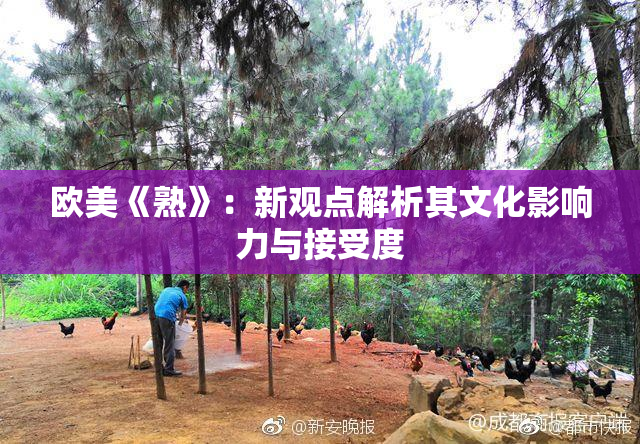 欧美《熟》：新观点解析其文化影响力与接受度