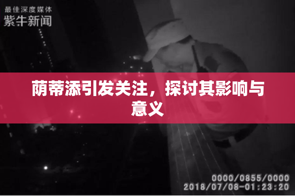 荫蒂添引发关注，探讨其影响与意义