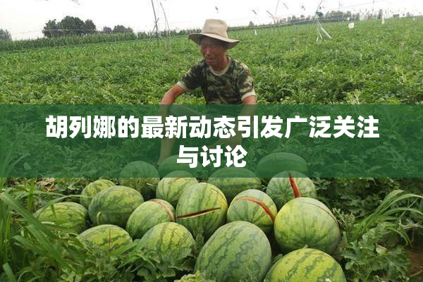 胡列娜的最新动态引发广泛关注与讨论