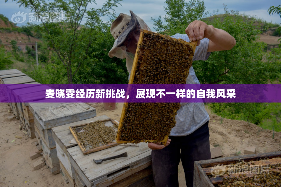麦晓雯经历新挑战，展现不一样的自我风采