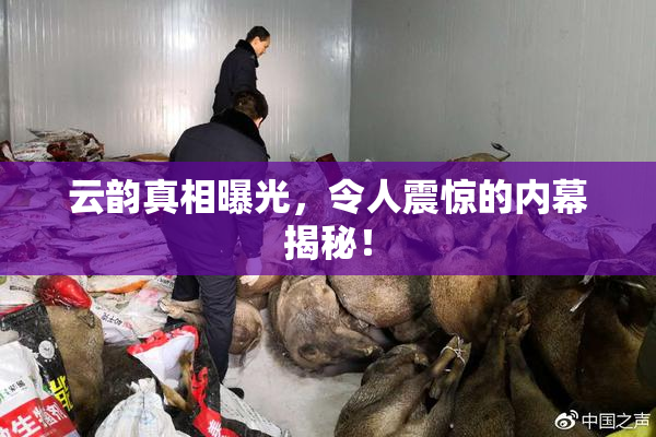 云韵真相曝光，令人震惊的内幕揭秘！
